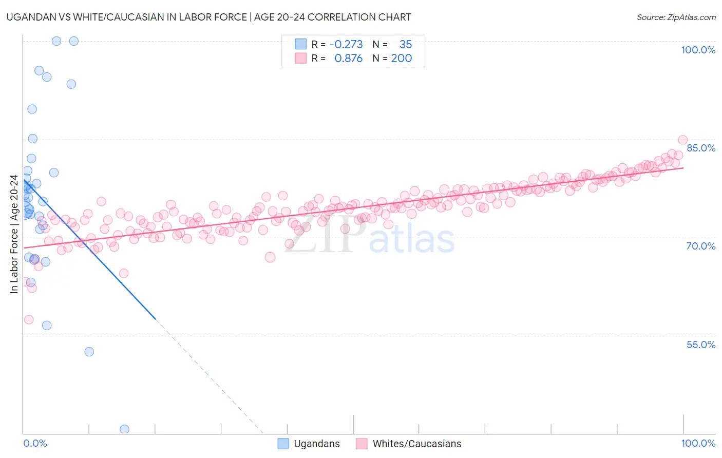 Ugandan vs White/Caucasian In Labor Force | Age 20-24