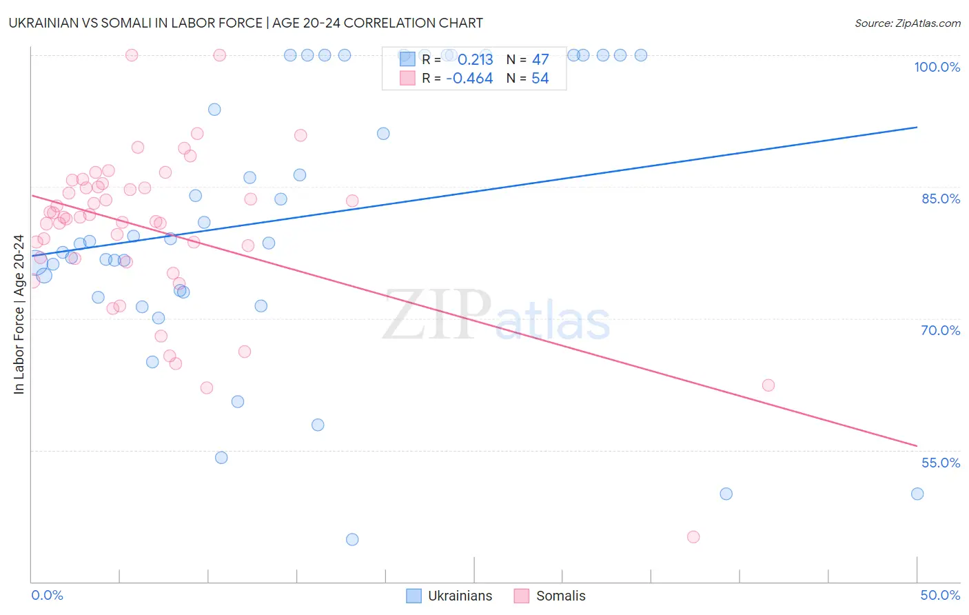Ukrainian vs Somali In Labor Force | Age 20-24