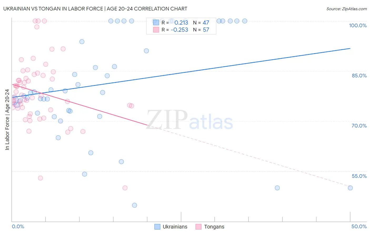 Ukrainian vs Tongan In Labor Force | Age 20-24