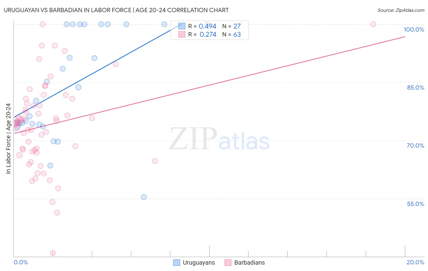 Uruguayan vs Barbadian In Labor Force | Age 20-24