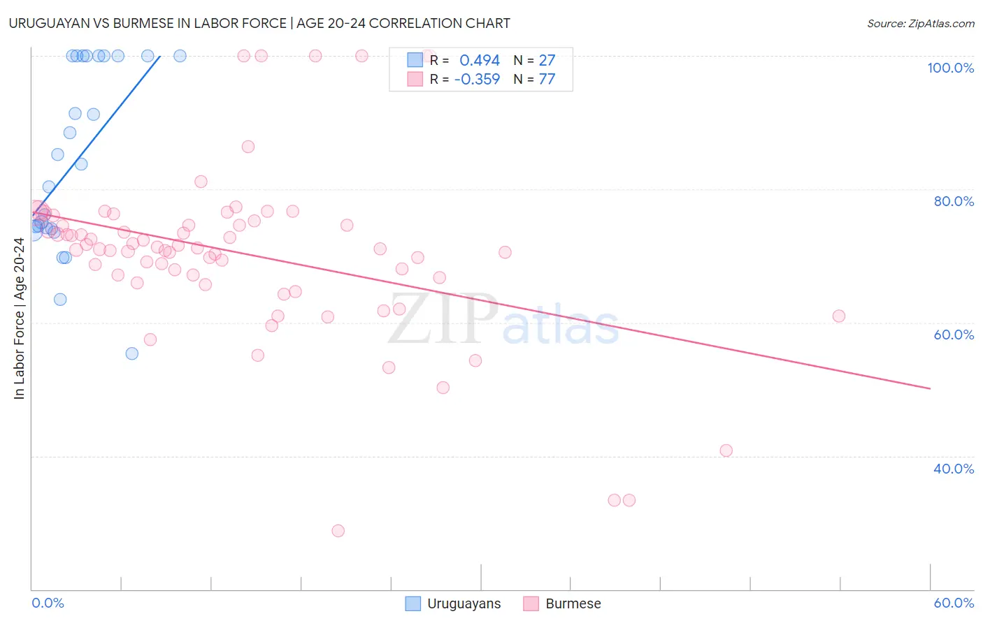 Uruguayan vs Burmese In Labor Force | Age 20-24