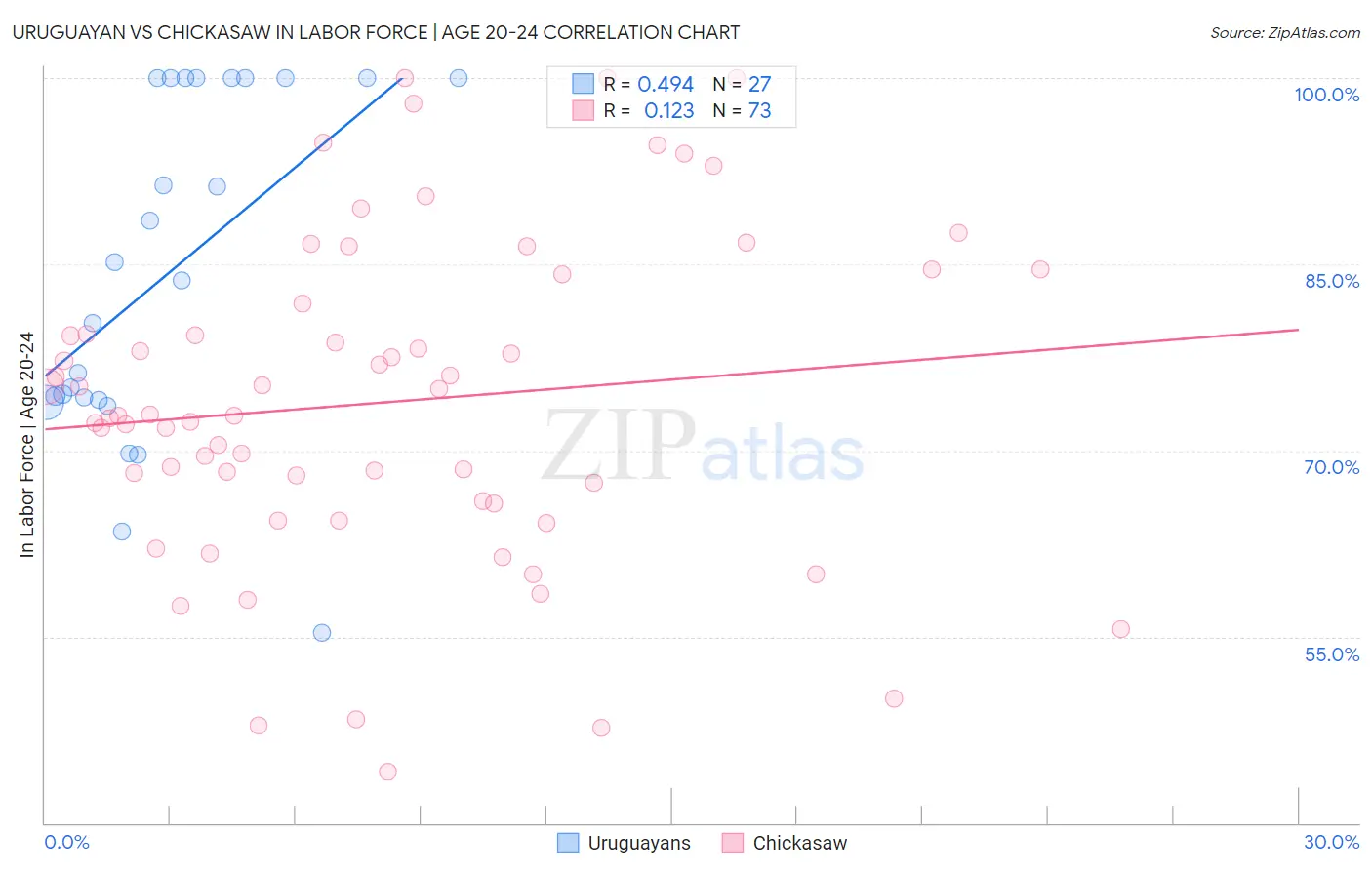 Uruguayan vs Chickasaw In Labor Force | Age 20-24