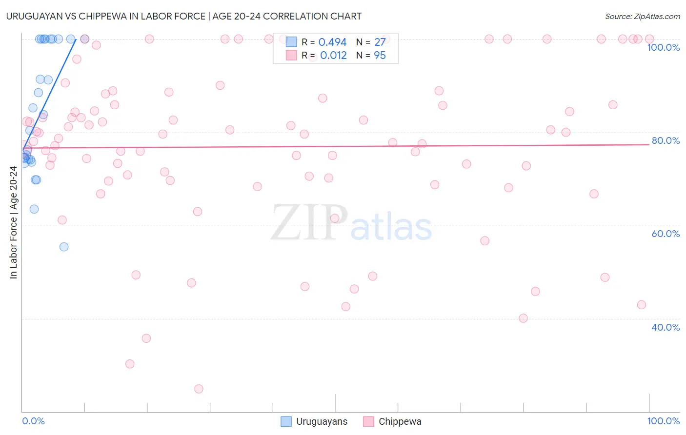 Uruguayan vs Chippewa In Labor Force | Age 20-24