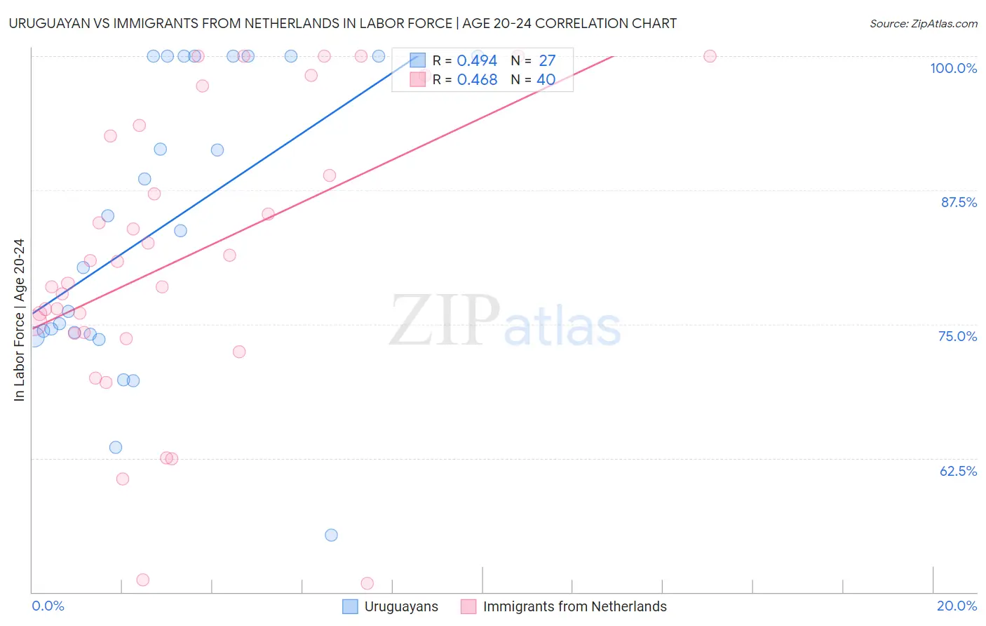 Uruguayan vs Immigrants from Netherlands In Labor Force | Age 20-24