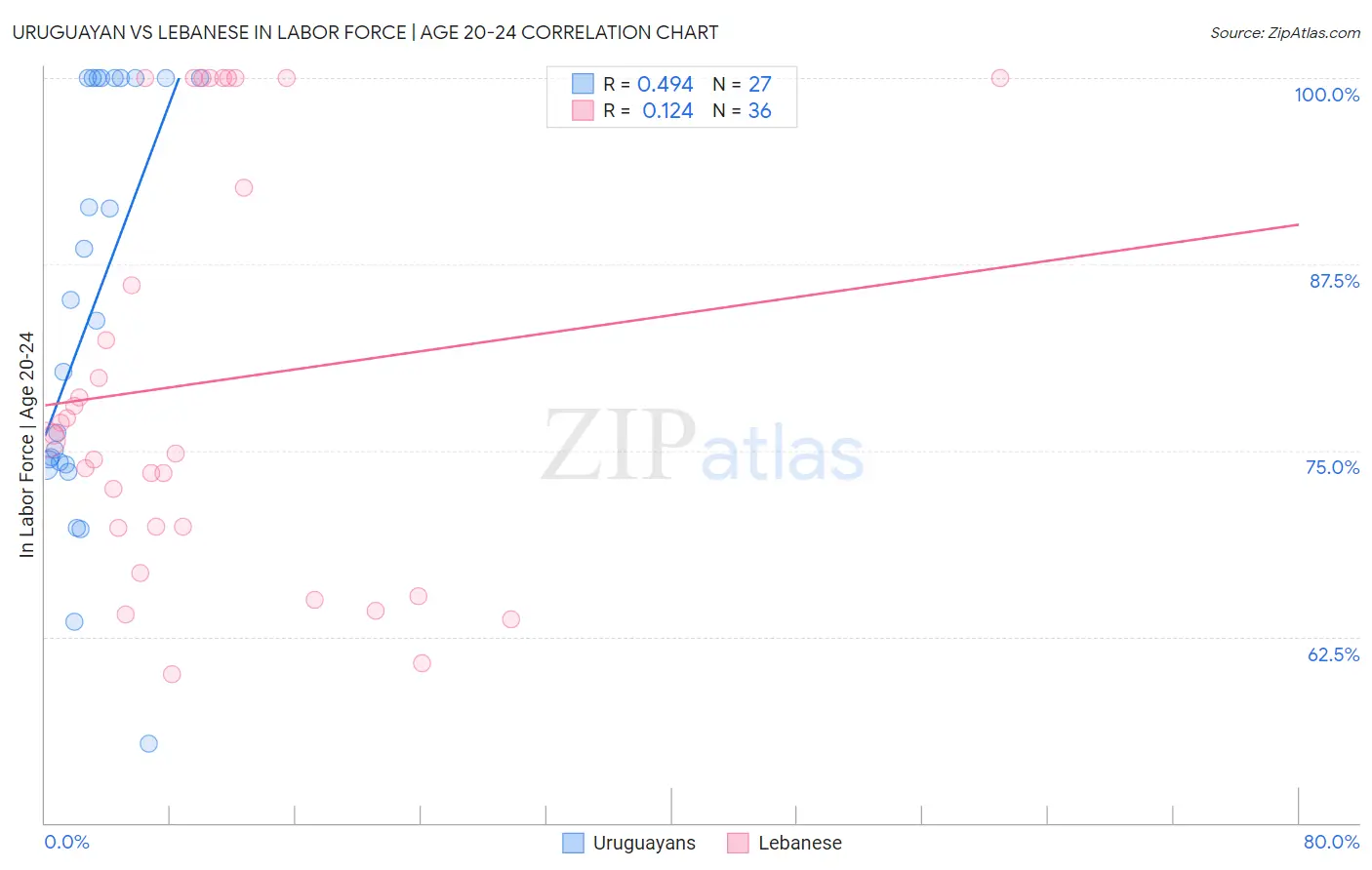 Uruguayan vs Lebanese In Labor Force | Age 20-24