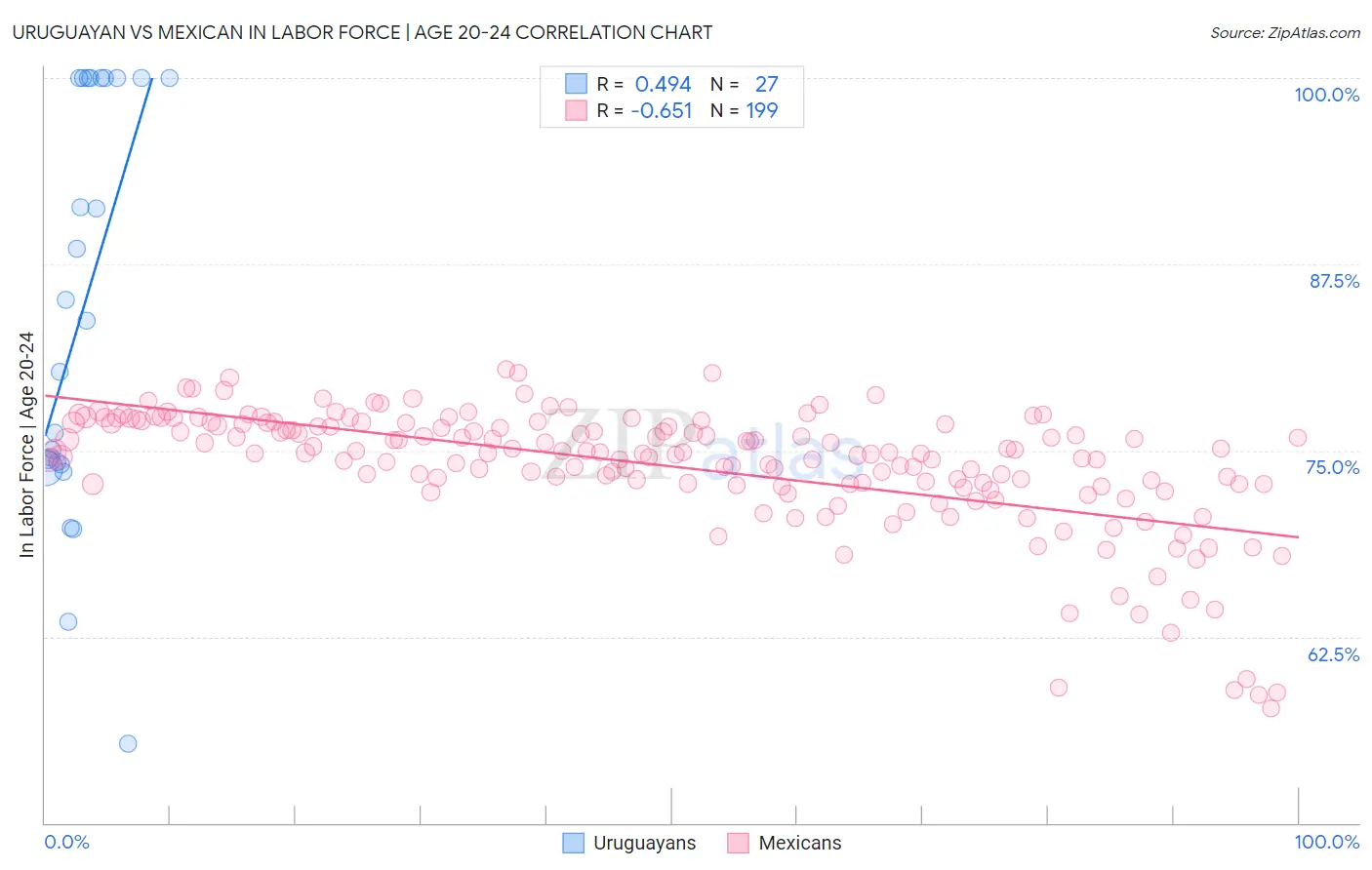 Uruguayan vs Mexican In Labor Force | Age 20-24