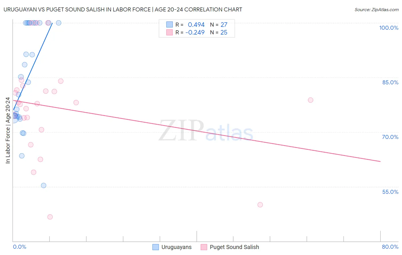 Uruguayan vs Puget Sound Salish In Labor Force | Age 20-24