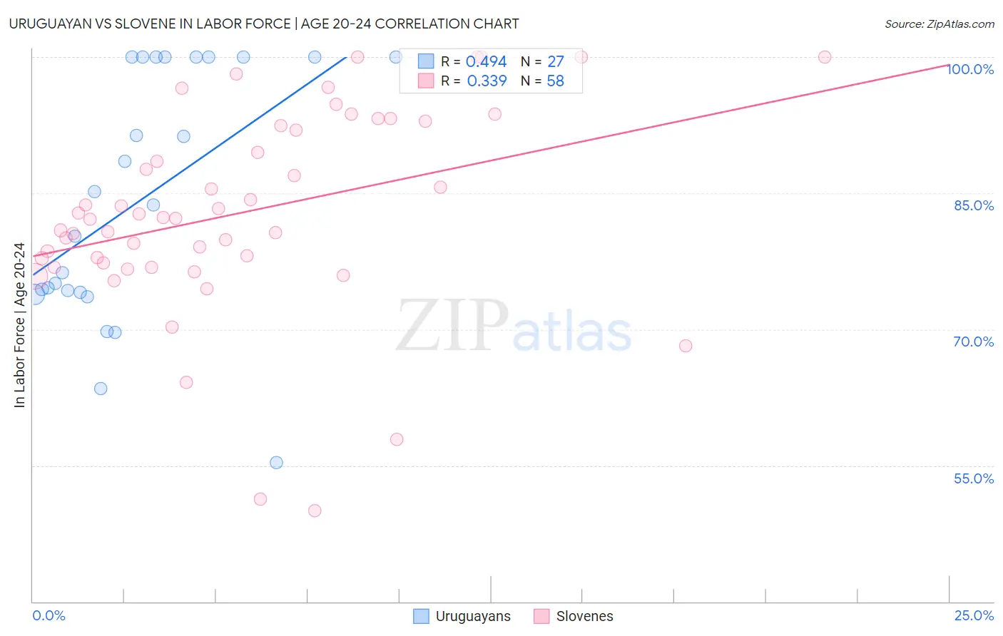 Uruguayan vs Slovene In Labor Force | Age 20-24