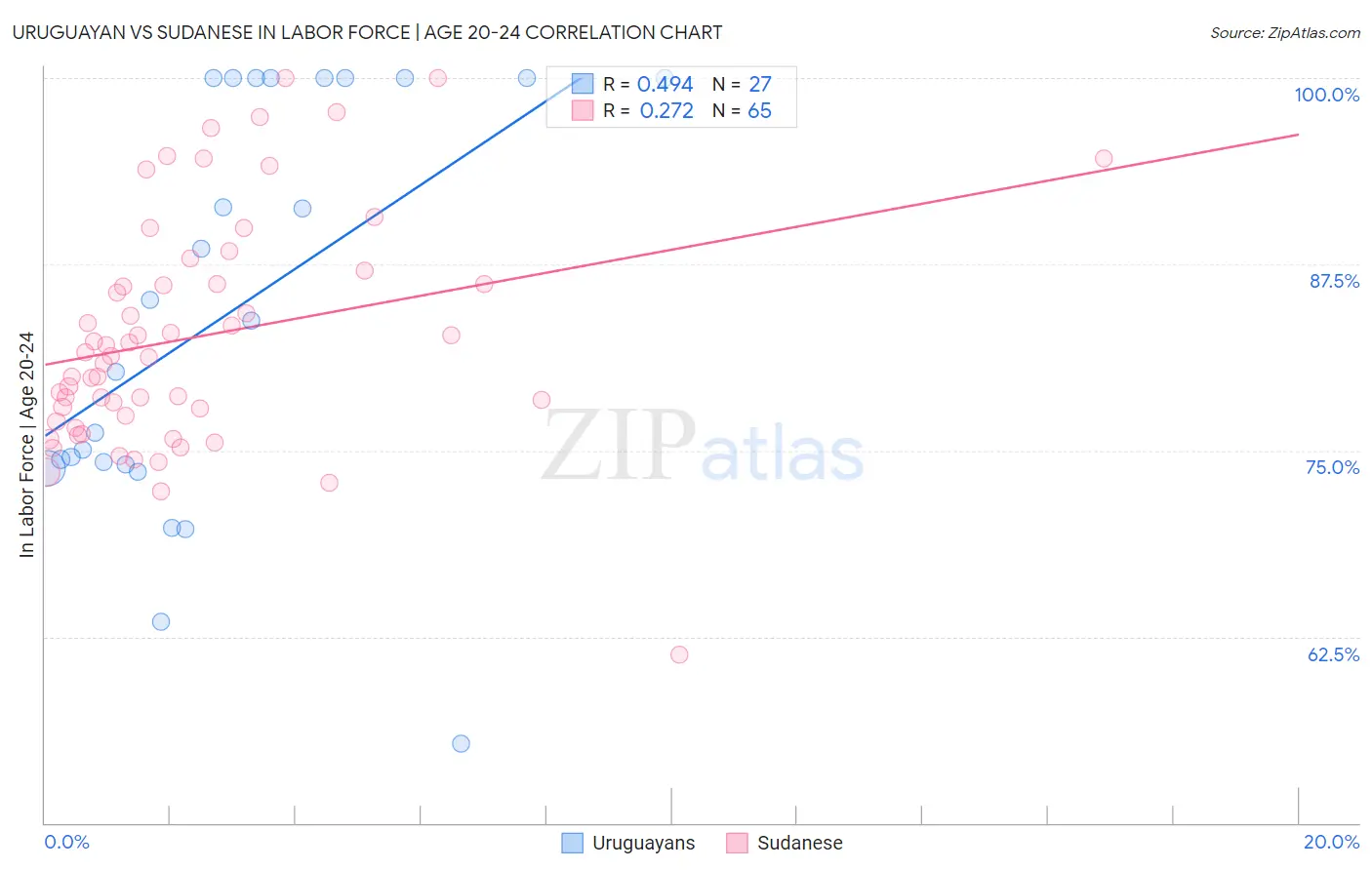 Uruguayan vs Sudanese In Labor Force | Age 20-24