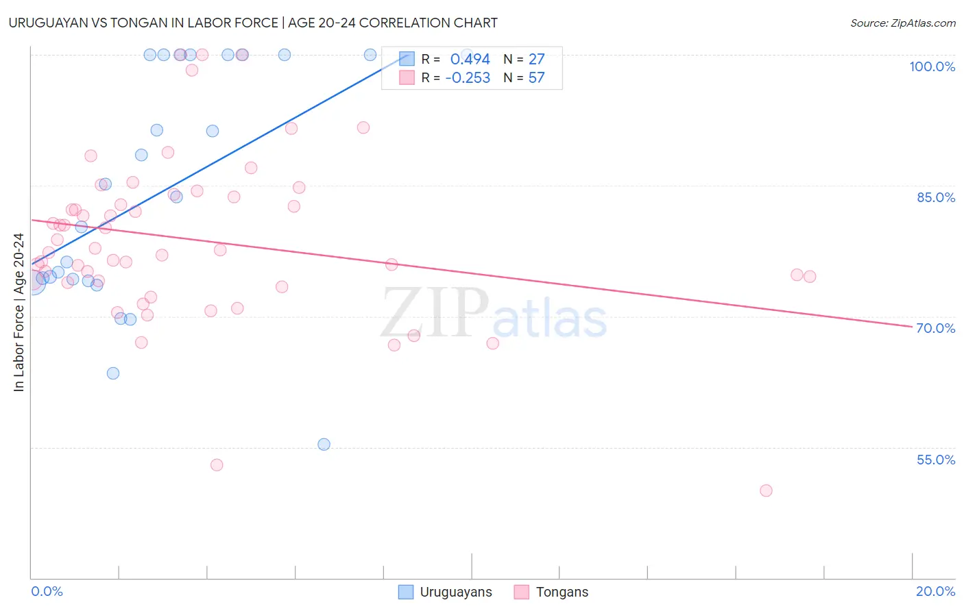 Uruguayan vs Tongan In Labor Force | Age 20-24
