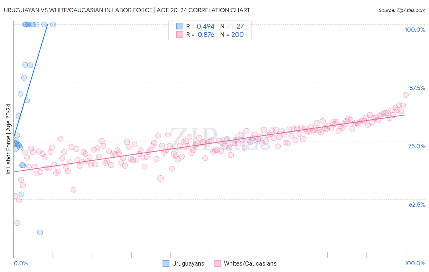 Uruguayan vs White/Caucasian In Labor Force | Age 20-24