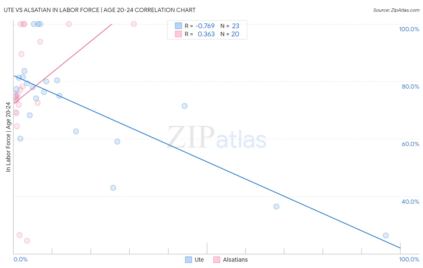 Ute vs Alsatian In Labor Force | Age 20-24