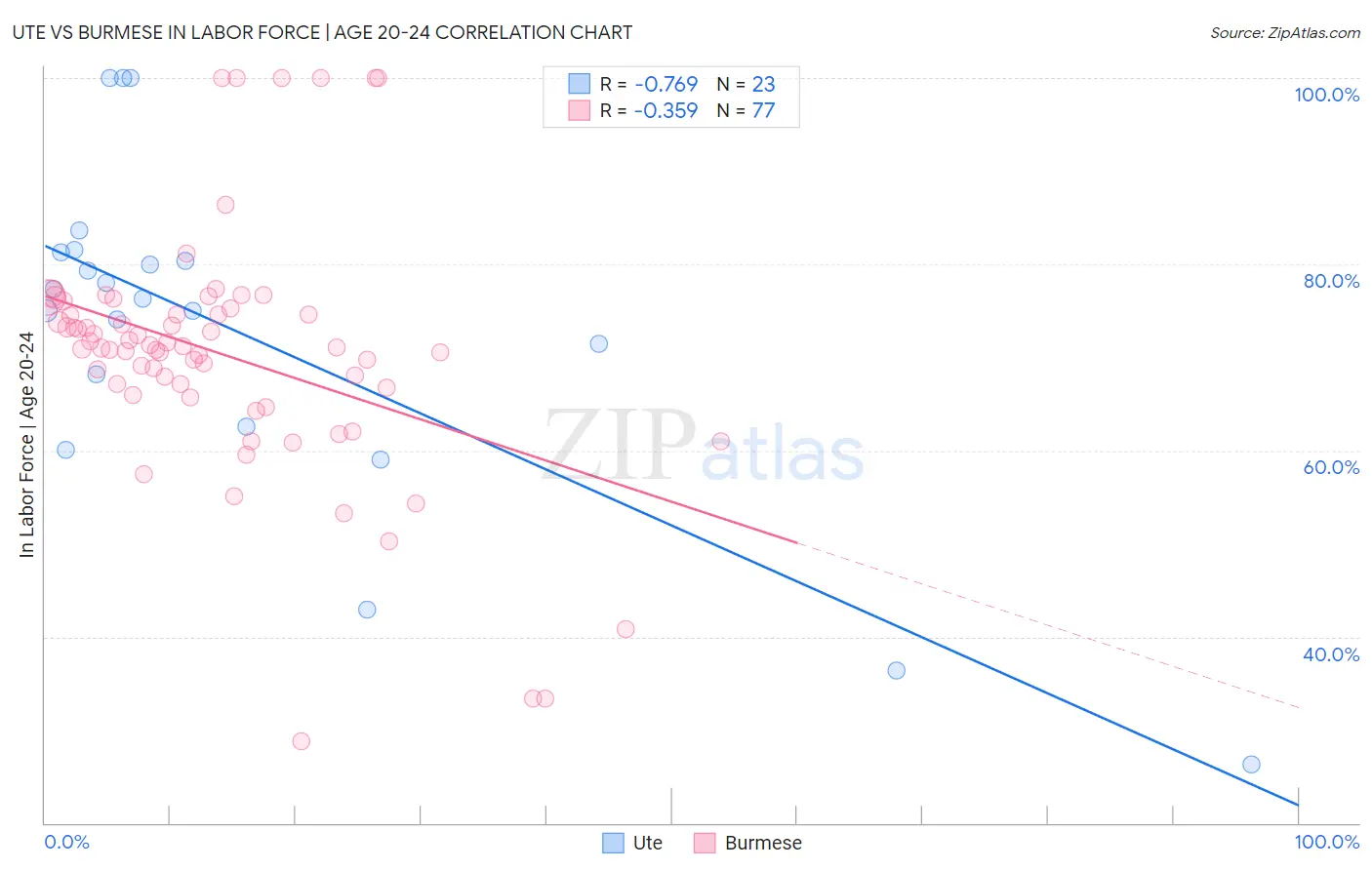 Ute vs Burmese In Labor Force | Age 20-24