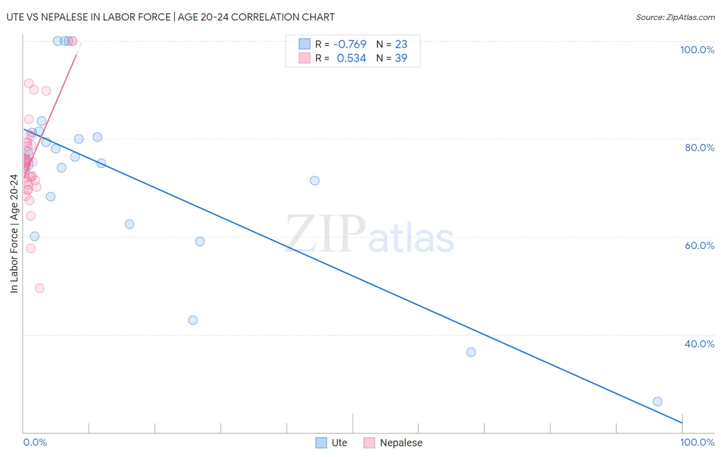 Ute vs Nepalese In Labor Force | Age 20-24