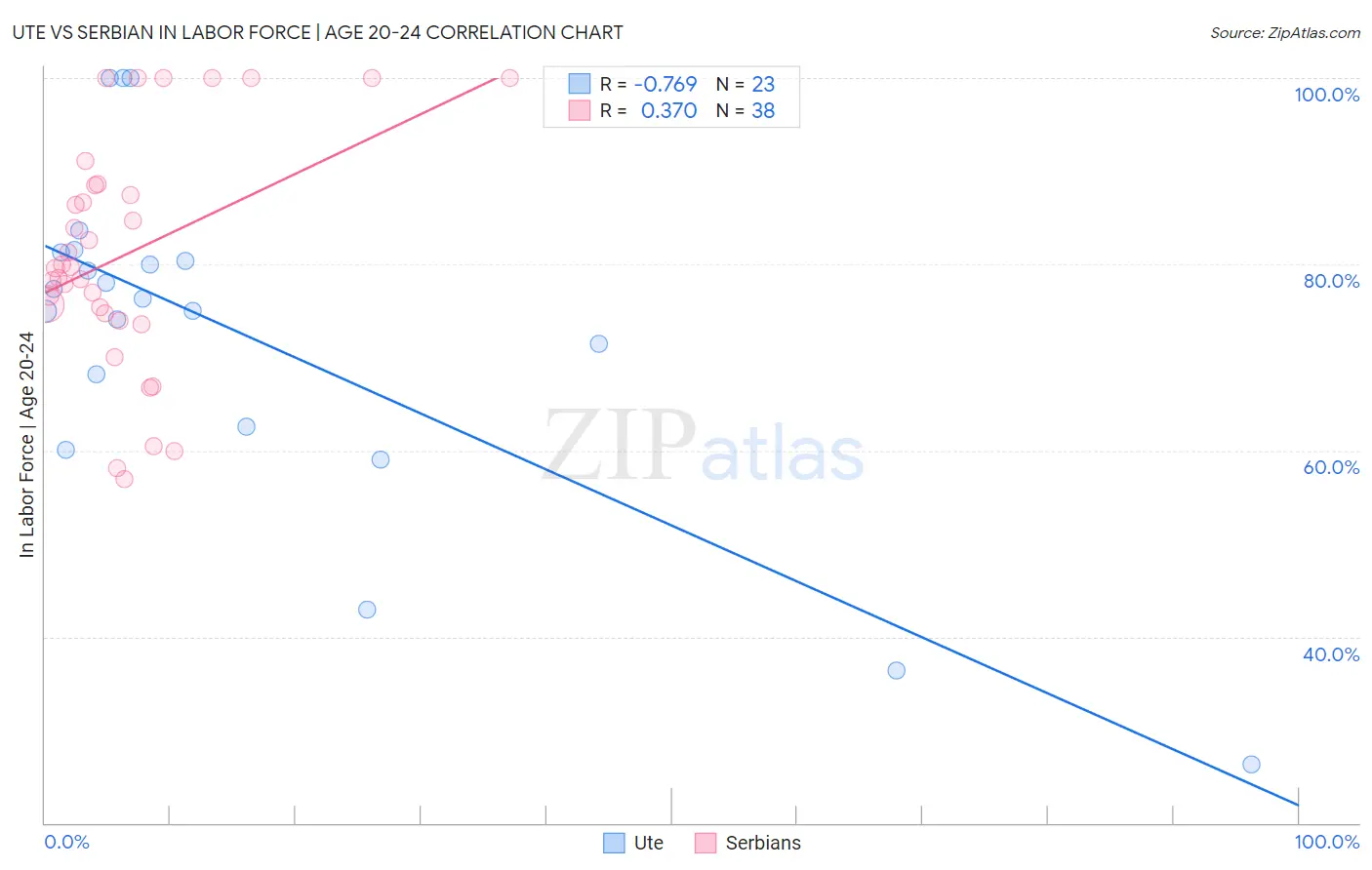 Ute vs Serbian In Labor Force | Age 20-24