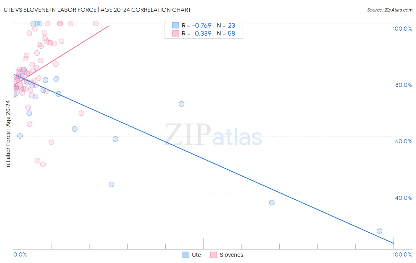 Ute vs Slovene In Labor Force | Age 20-24