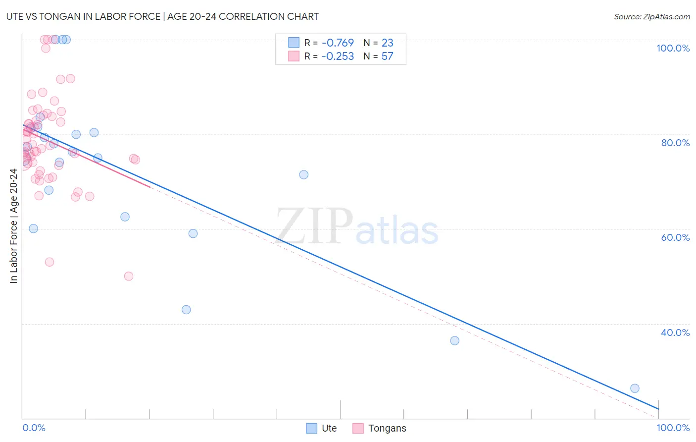 Ute vs Tongan In Labor Force | Age 20-24
