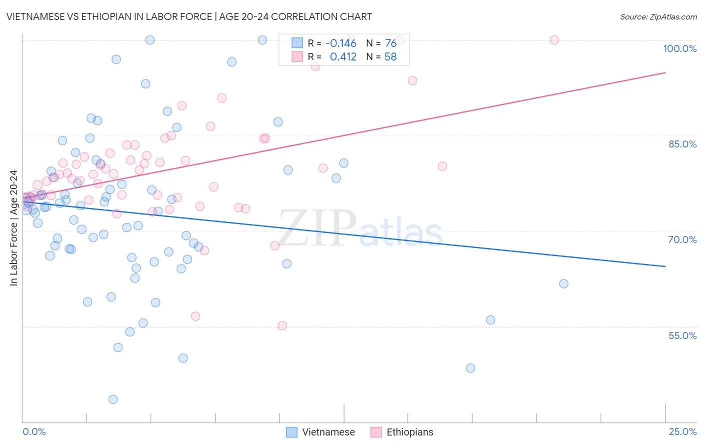 Vietnamese vs Ethiopian In Labor Force | Age 20-24