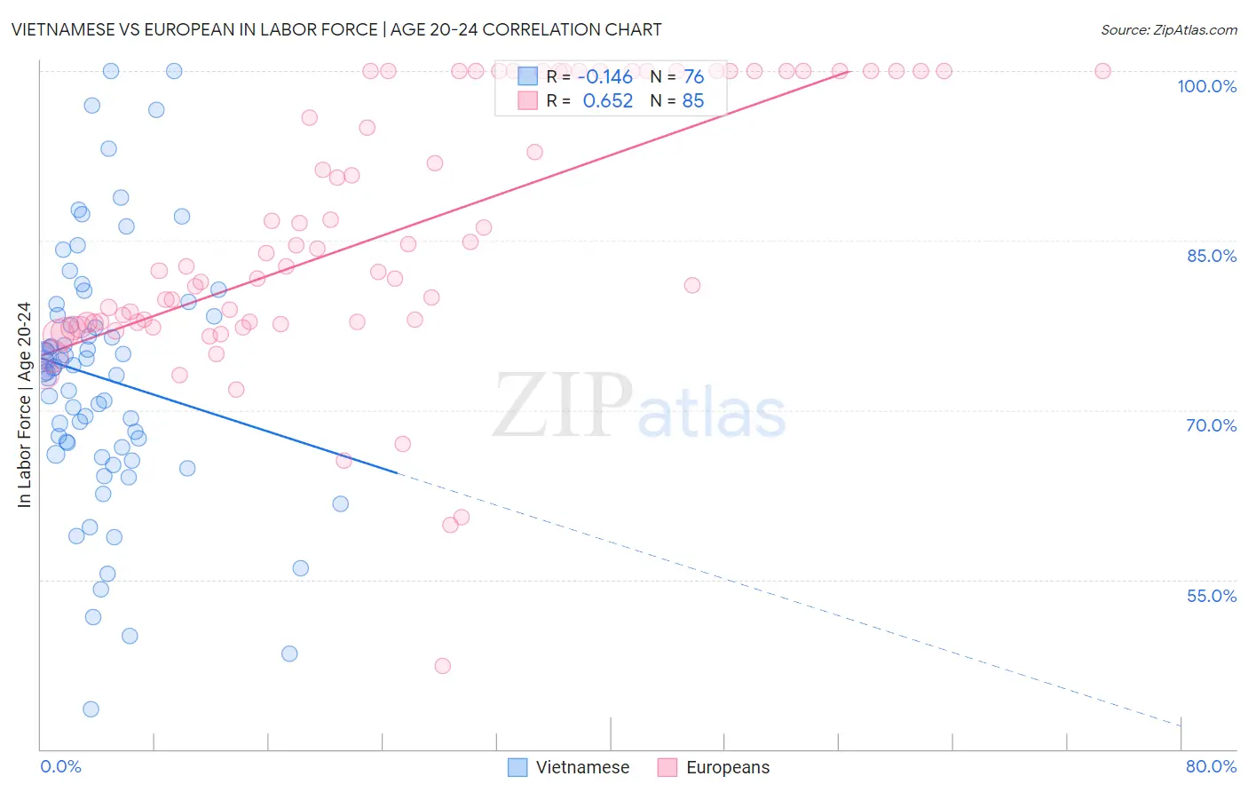 Vietnamese vs European In Labor Force | Age 20-24