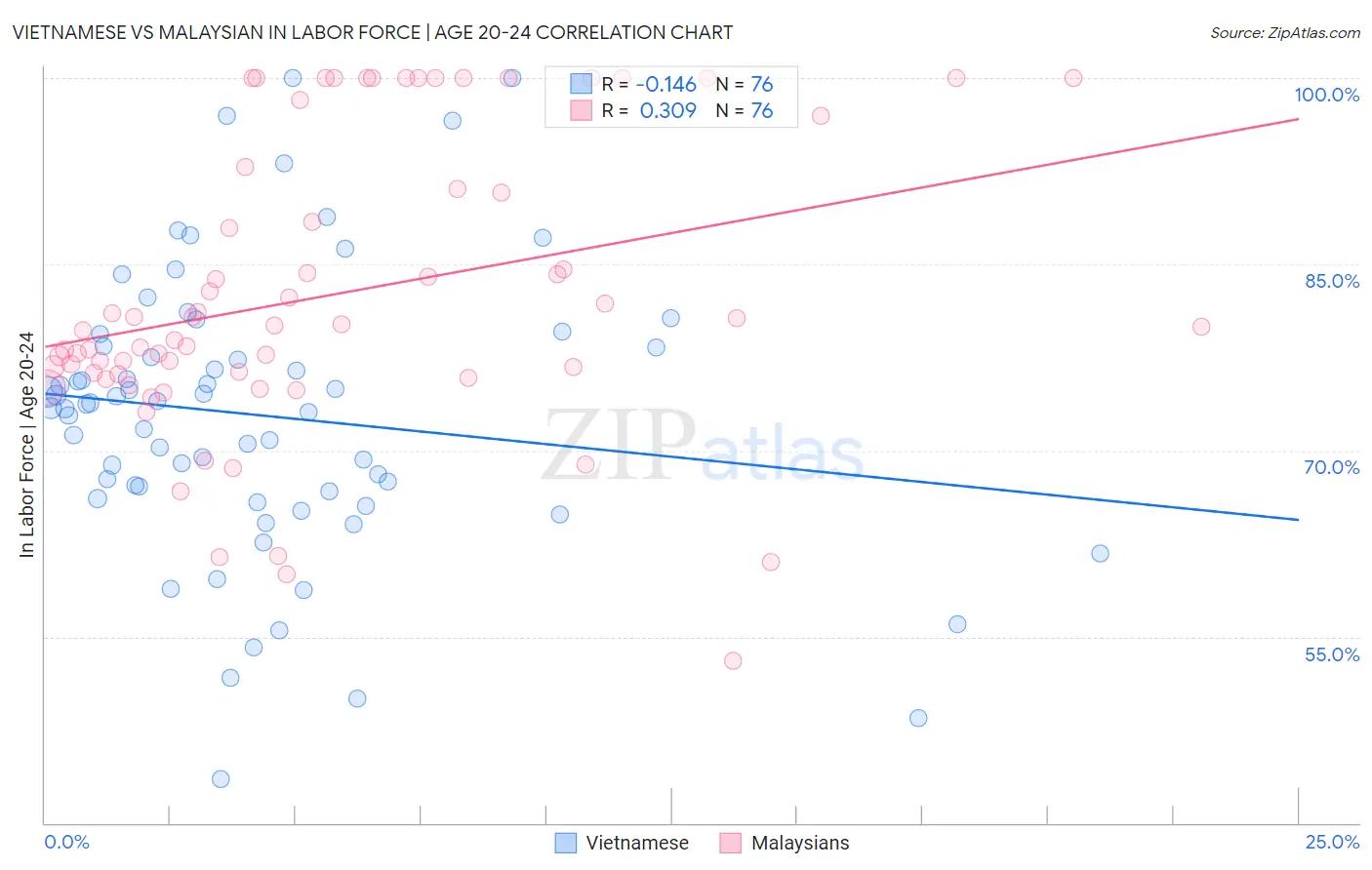 Vietnamese vs Malaysian In Labor Force | Age 20-24