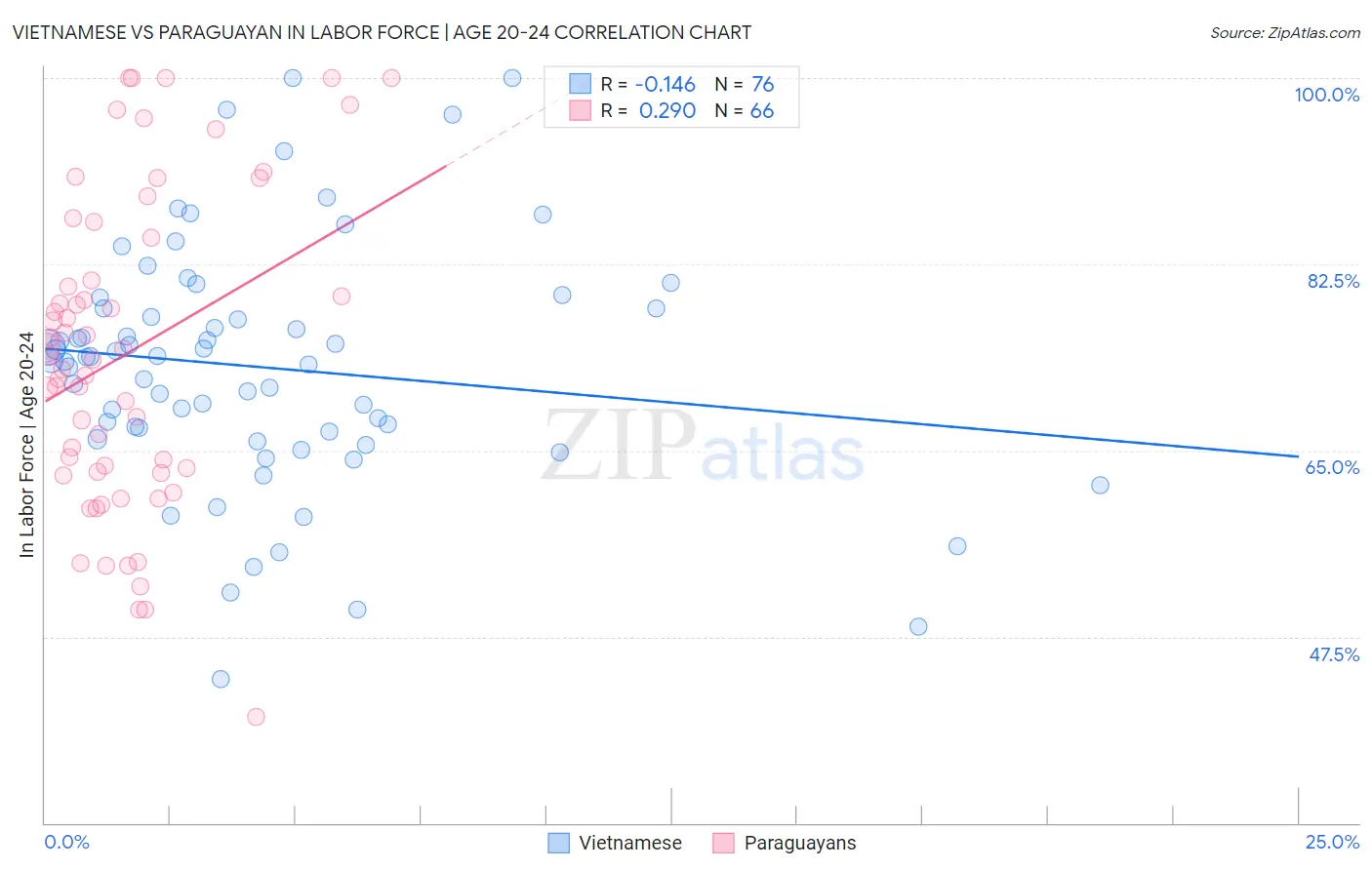Vietnamese vs Paraguayan In Labor Force | Age 20-24