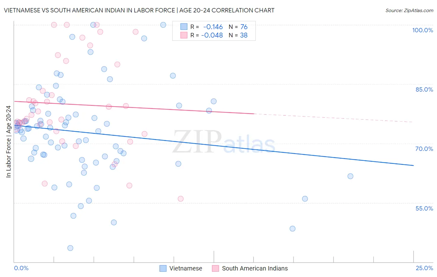 Vietnamese vs South American Indian In Labor Force | Age 20-24