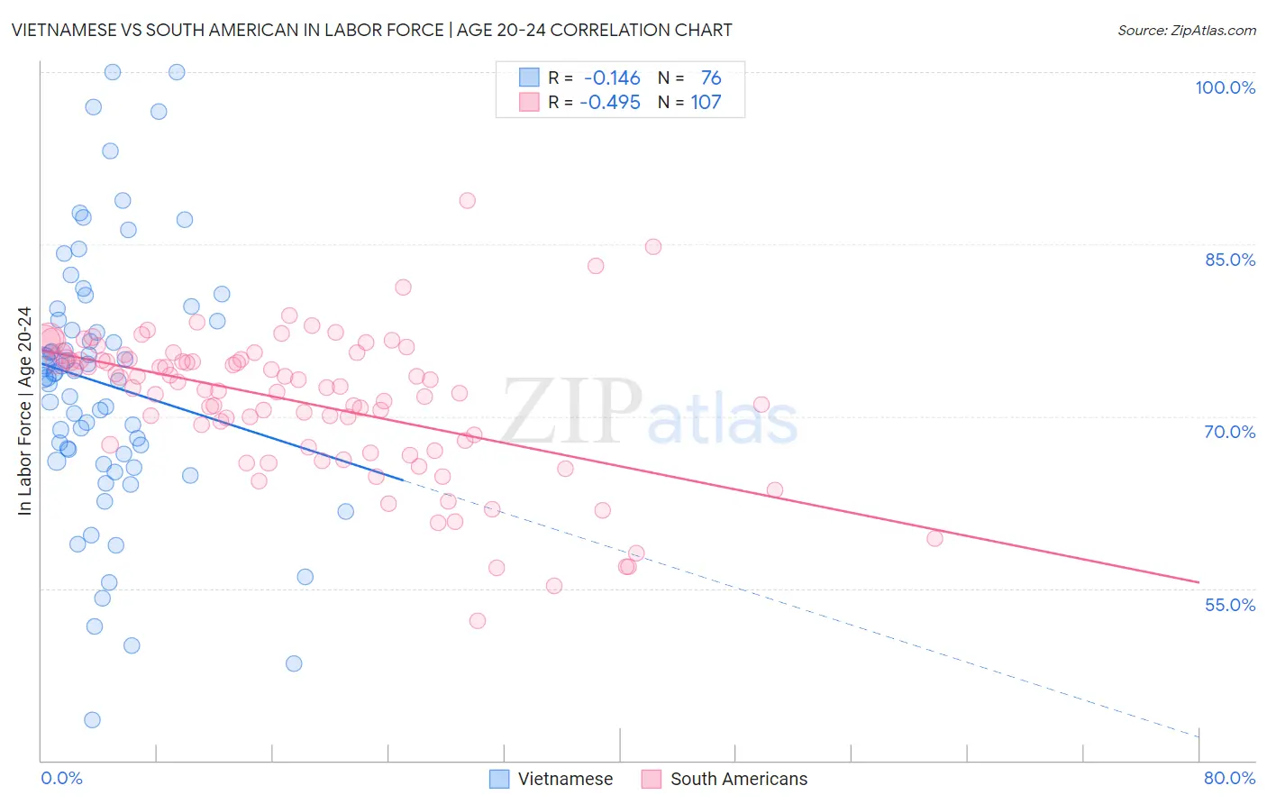 Vietnamese vs South American In Labor Force | Age 20-24