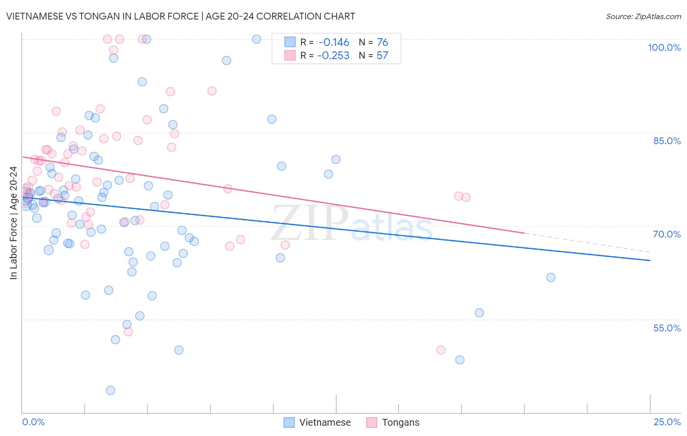 Vietnamese vs Tongan In Labor Force | Age 20-24