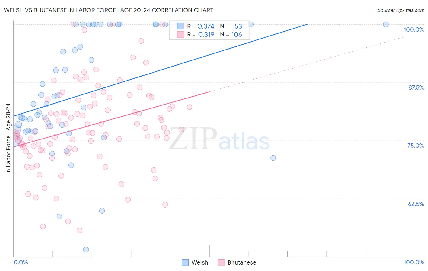 Welsh vs Bhutanese In Labor Force | Age 20-24
