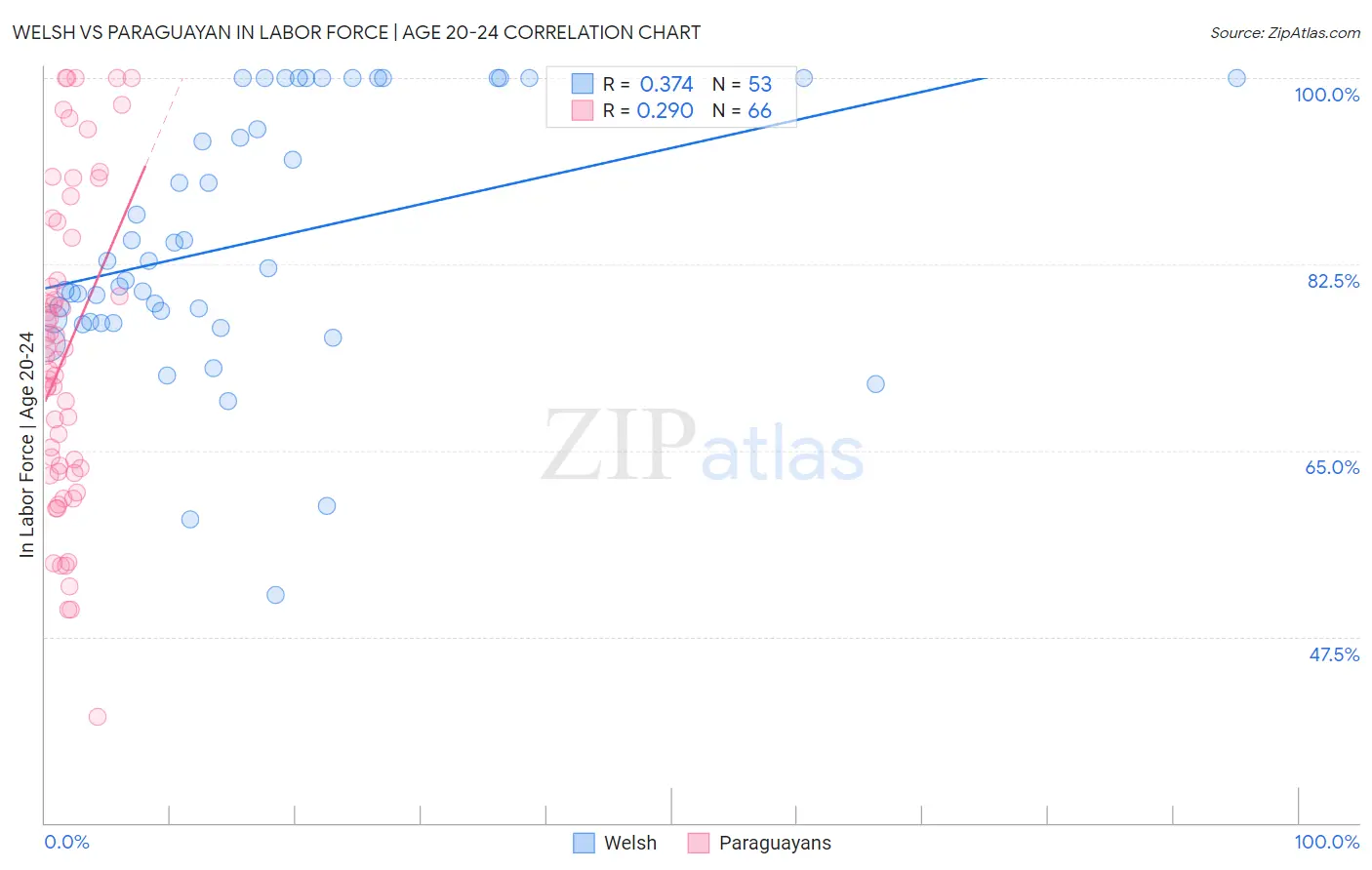 Welsh vs Paraguayan In Labor Force | Age 20-24