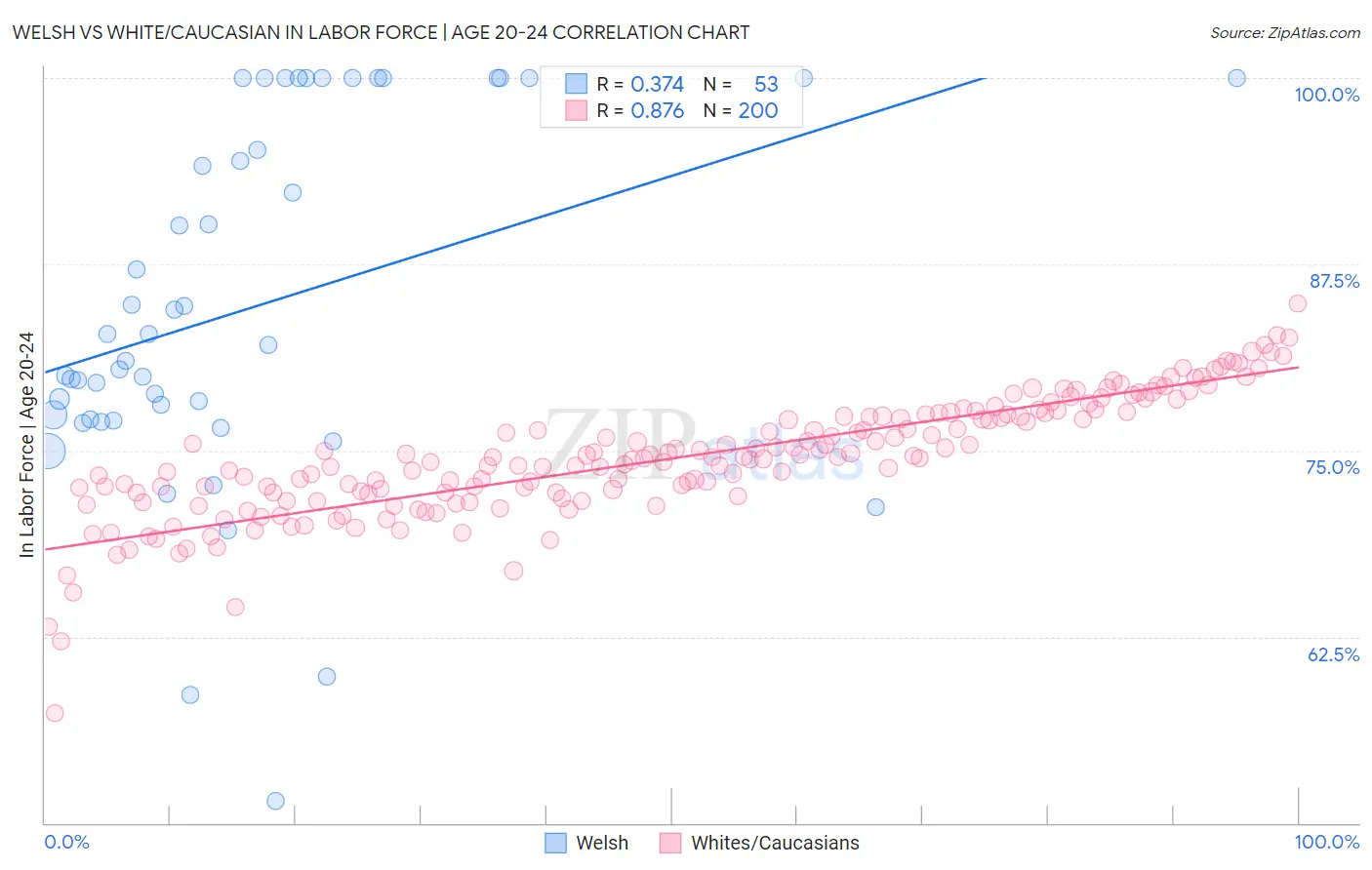 Welsh vs White/Caucasian In Labor Force | Age 20-24