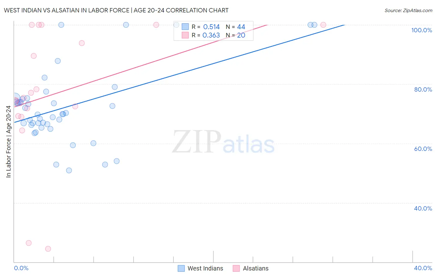 West Indian vs Alsatian In Labor Force | Age 20-24