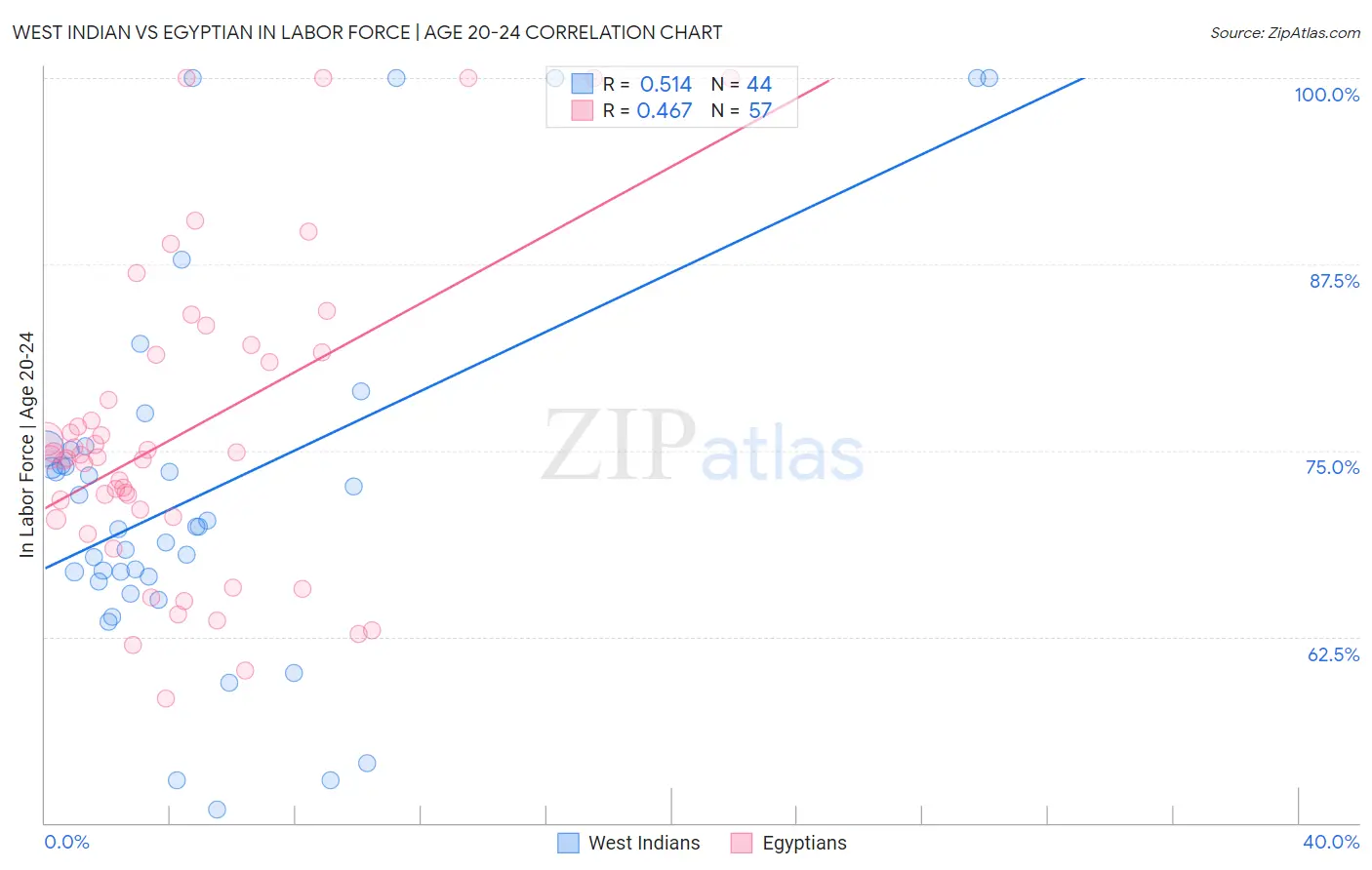 West Indian vs Egyptian In Labor Force | Age 20-24