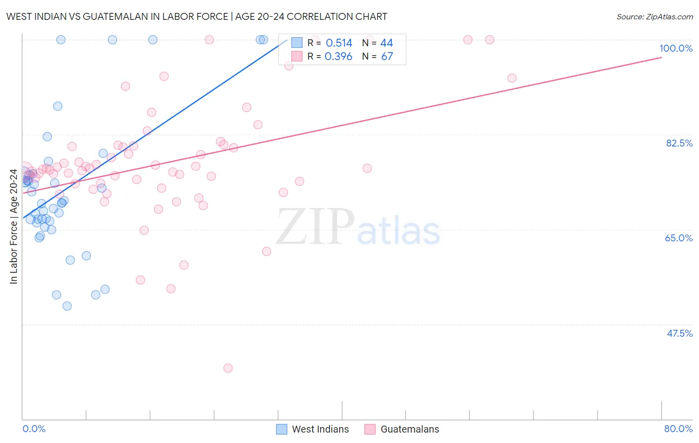 West Indian vs Guatemalan In Labor Force | Age 20-24