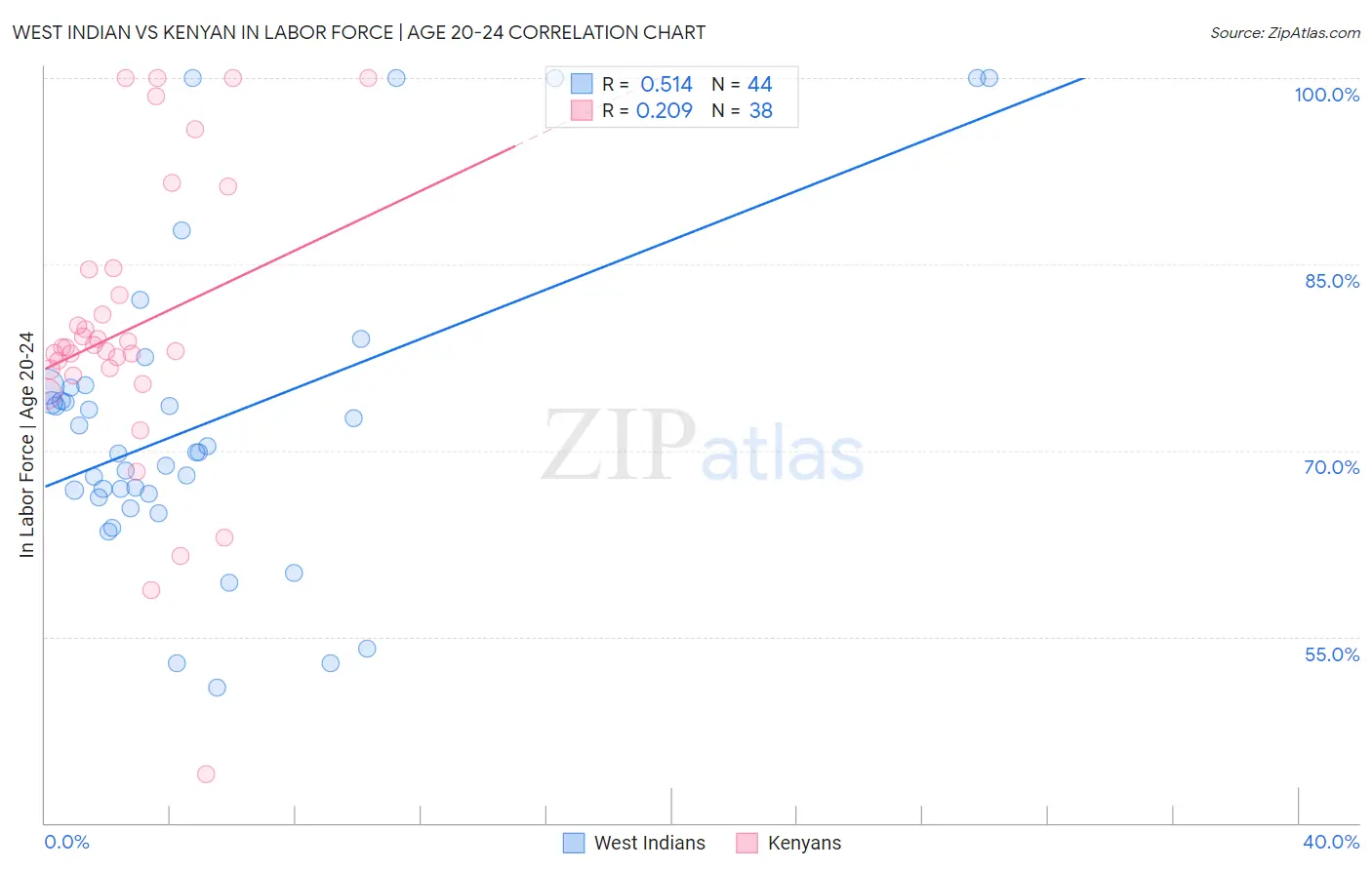 West Indian vs Kenyan In Labor Force | Age 20-24