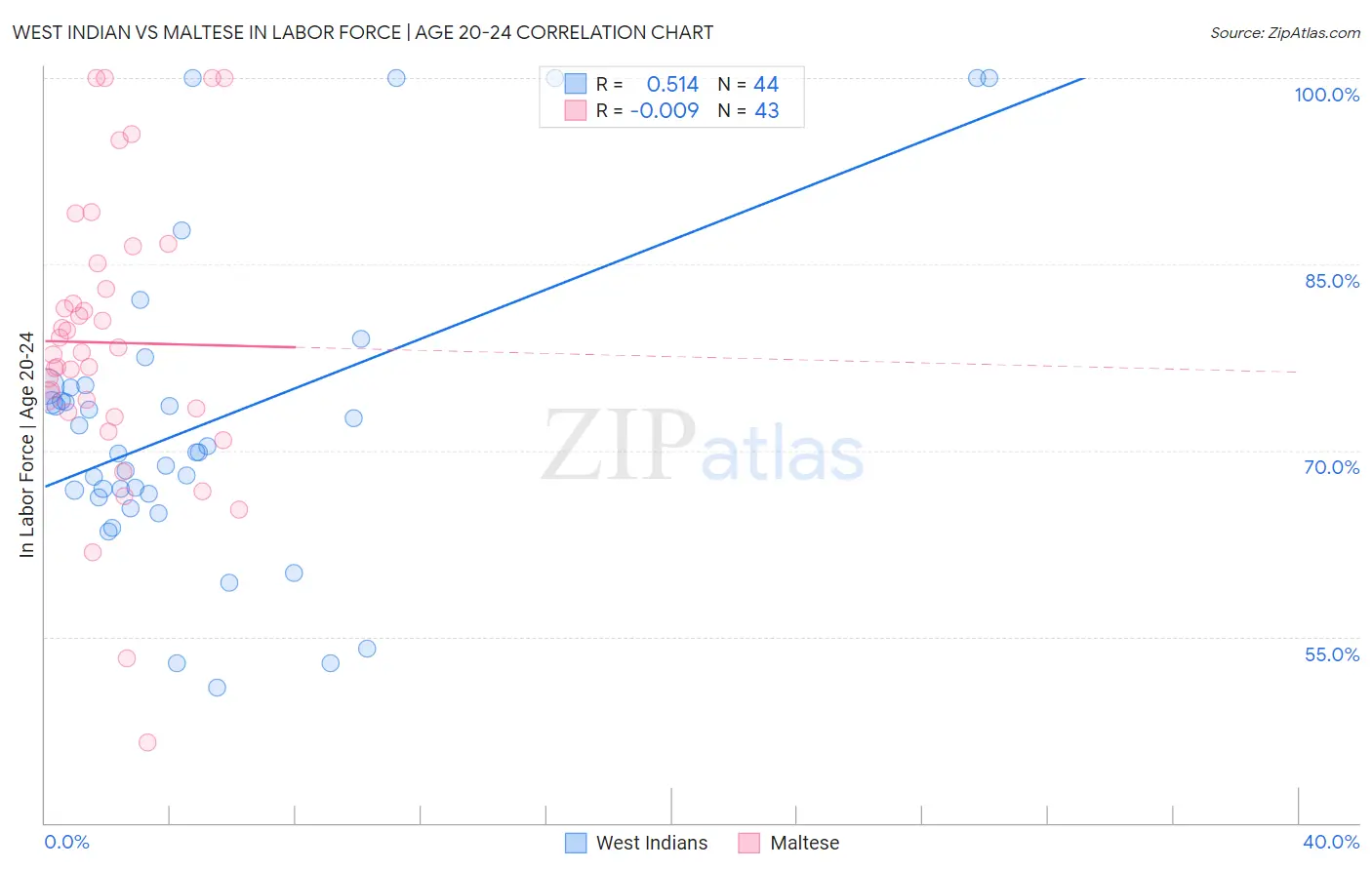 West Indian vs Maltese In Labor Force | Age 20-24