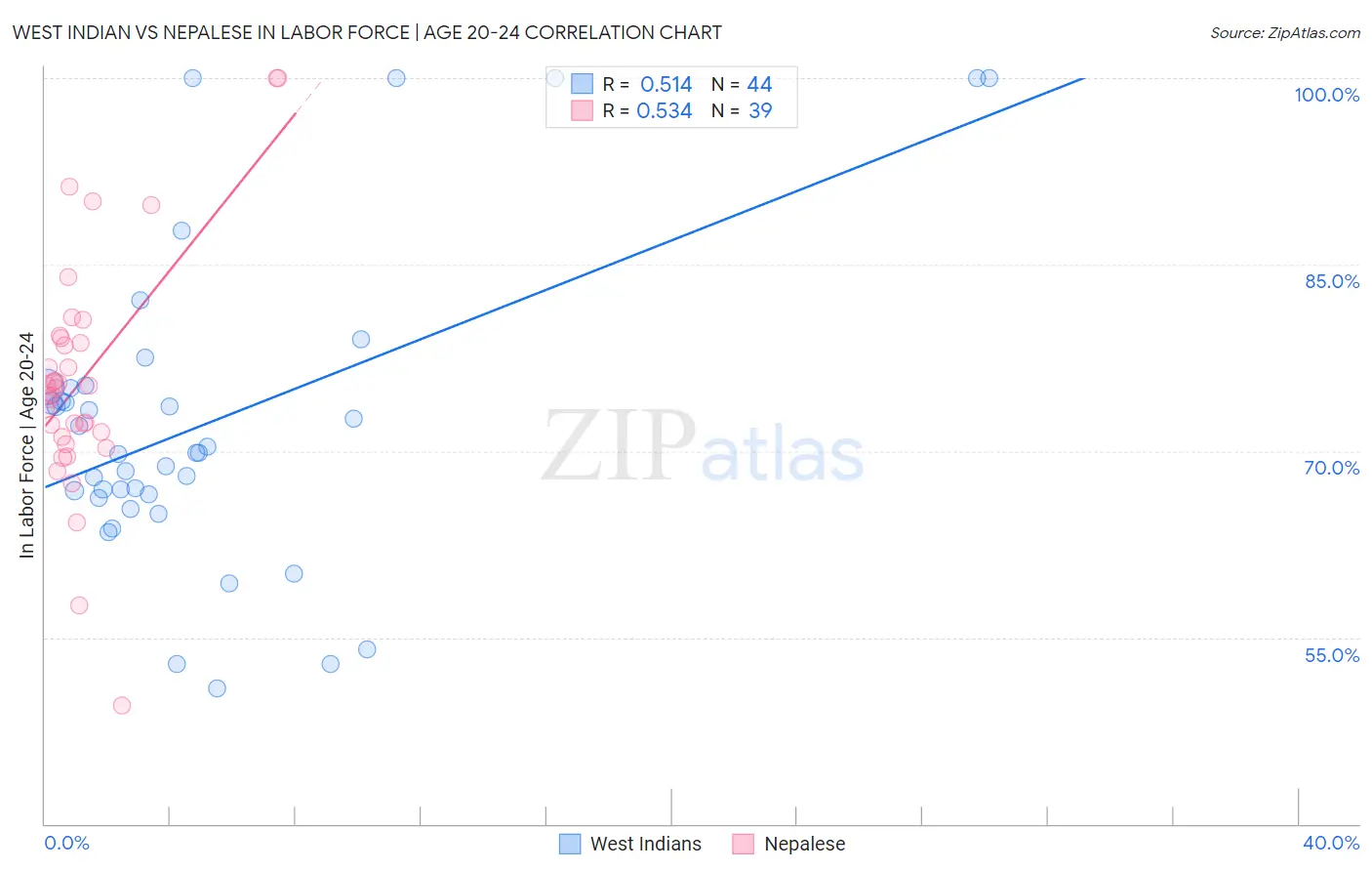 West Indian vs Nepalese In Labor Force | Age 20-24