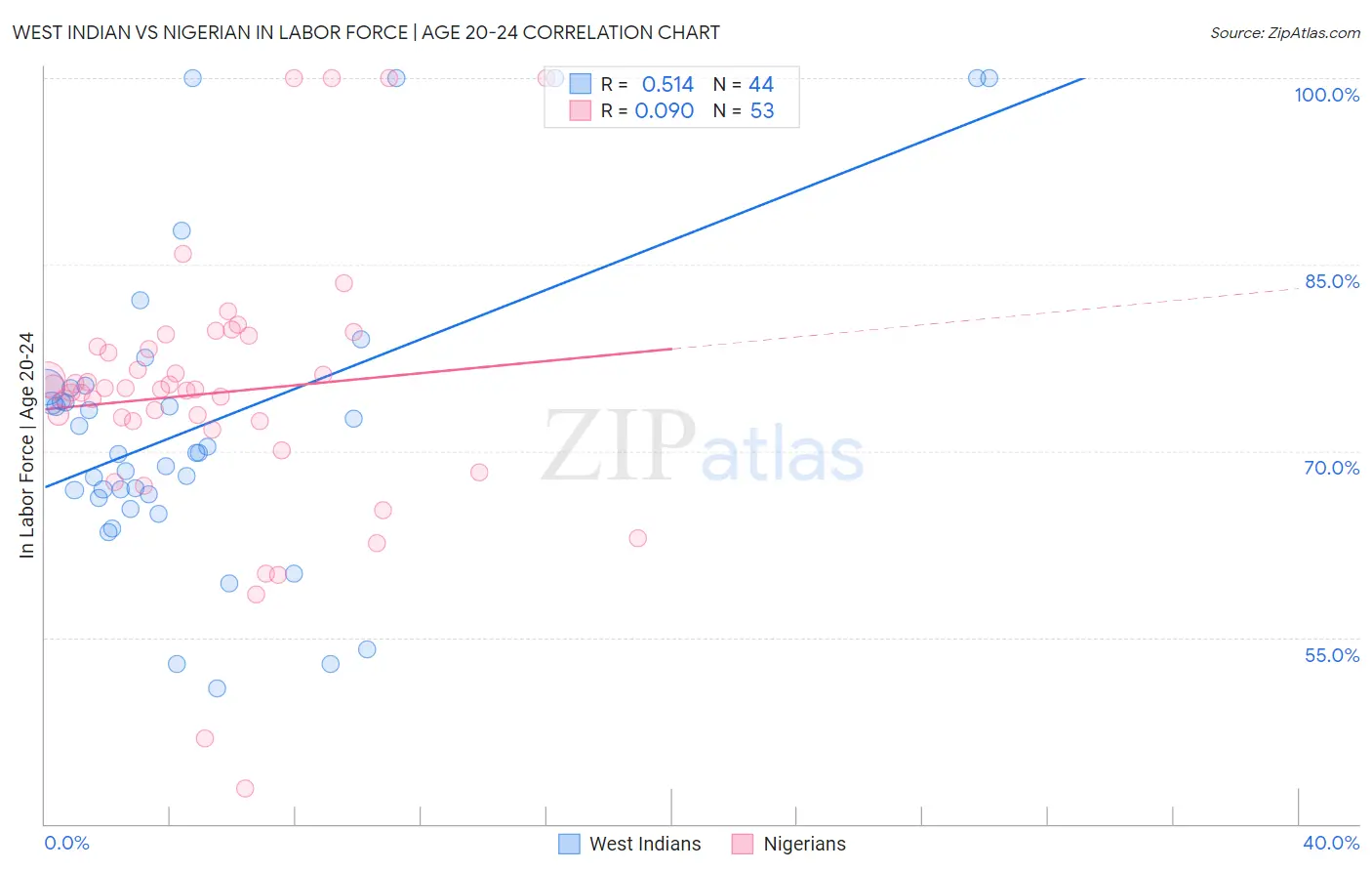 West Indian vs Nigerian In Labor Force | Age 20-24