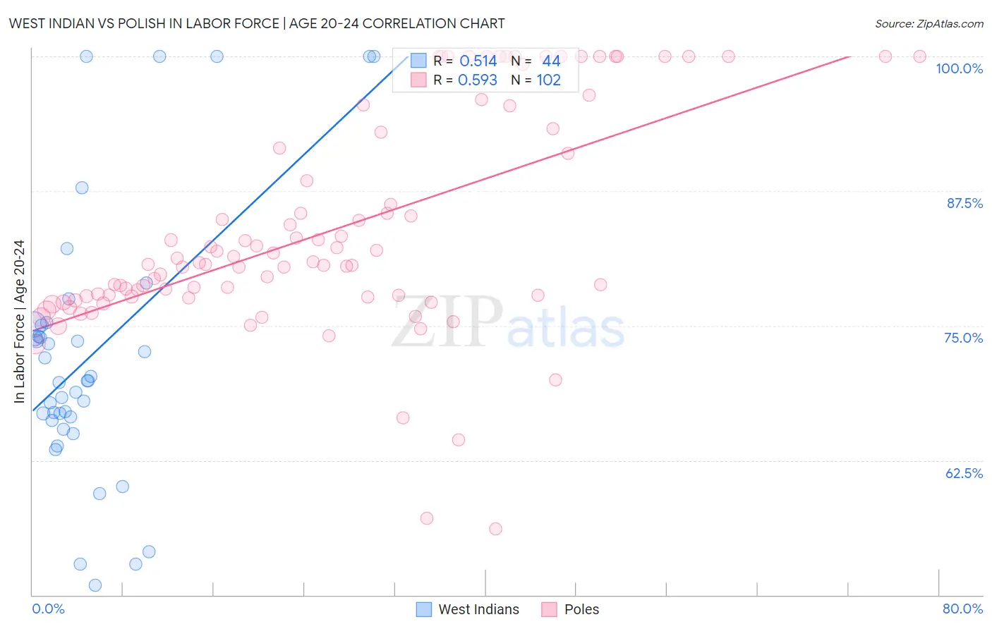 West Indian vs Polish In Labor Force | Age 20-24