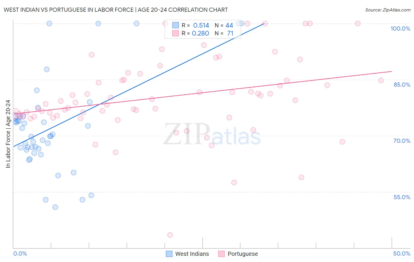 West Indian vs Portuguese In Labor Force | Age 20-24