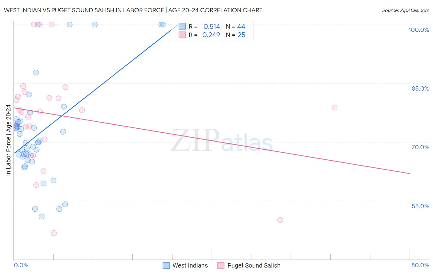 West Indian vs Puget Sound Salish In Labor Force | Age 20-24