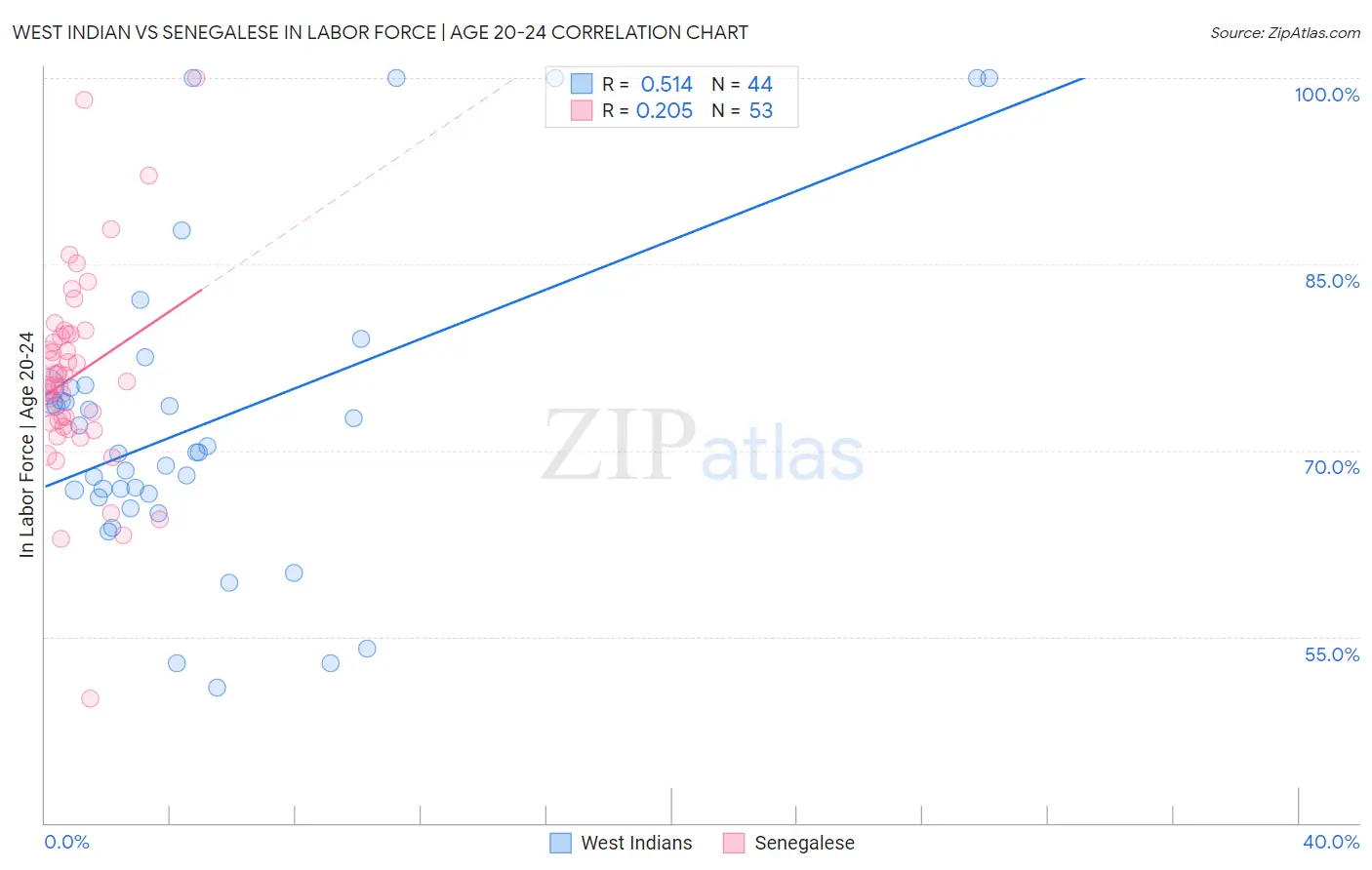 West Indian vs Senegalese In Labor Force | Age 20-24