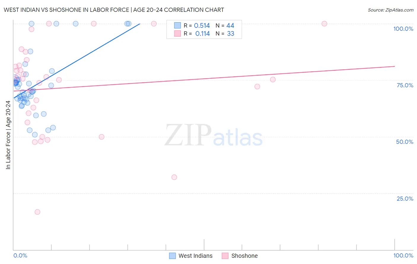 West Indian vs Shoshone In Labor Force | Age 20-24