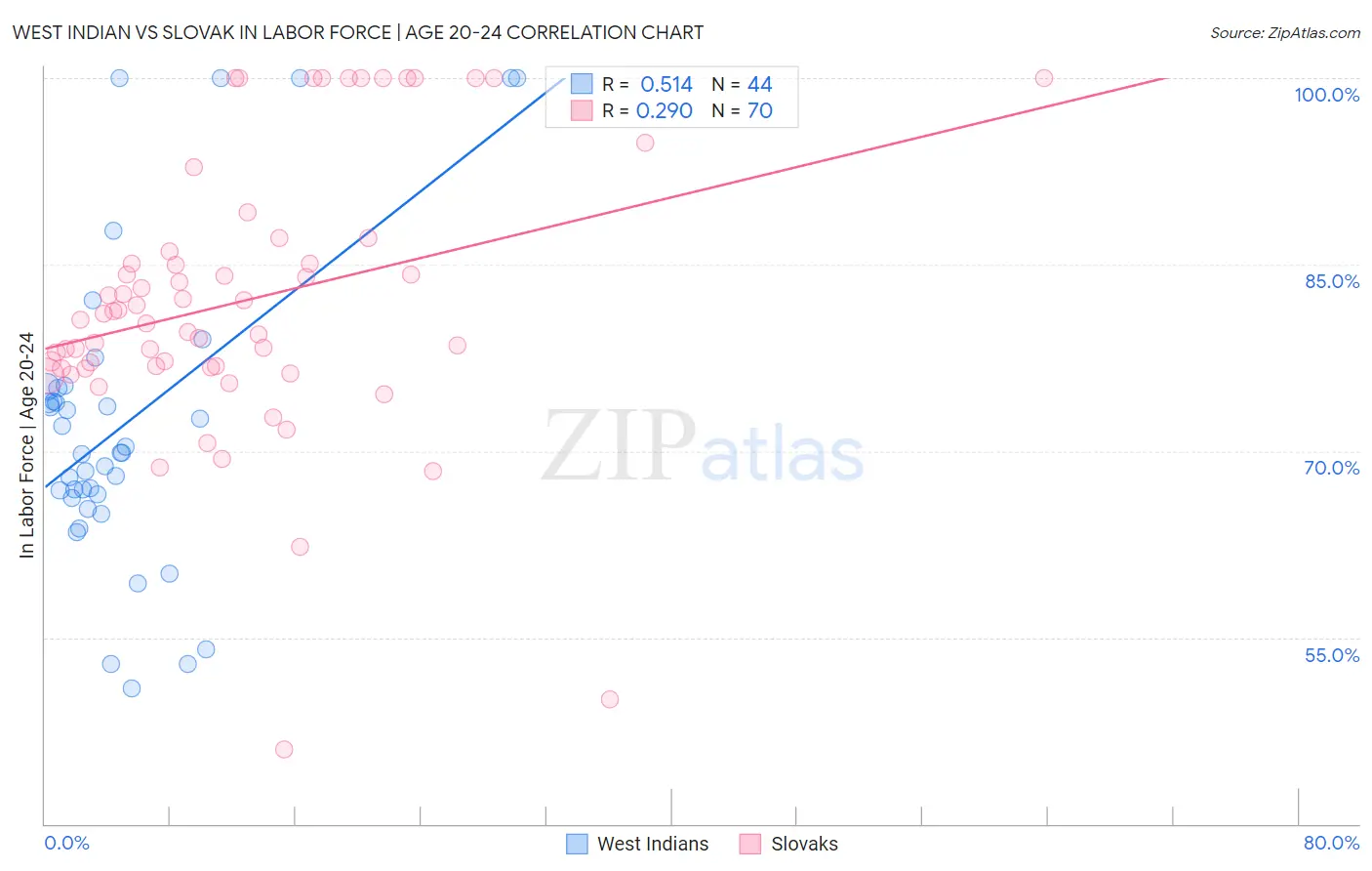 West Indian vs Slovak In Labor Force | Age 20-24