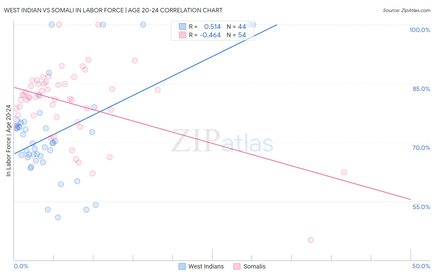 West Indian vs Somali In Labor Force | Age 20-24