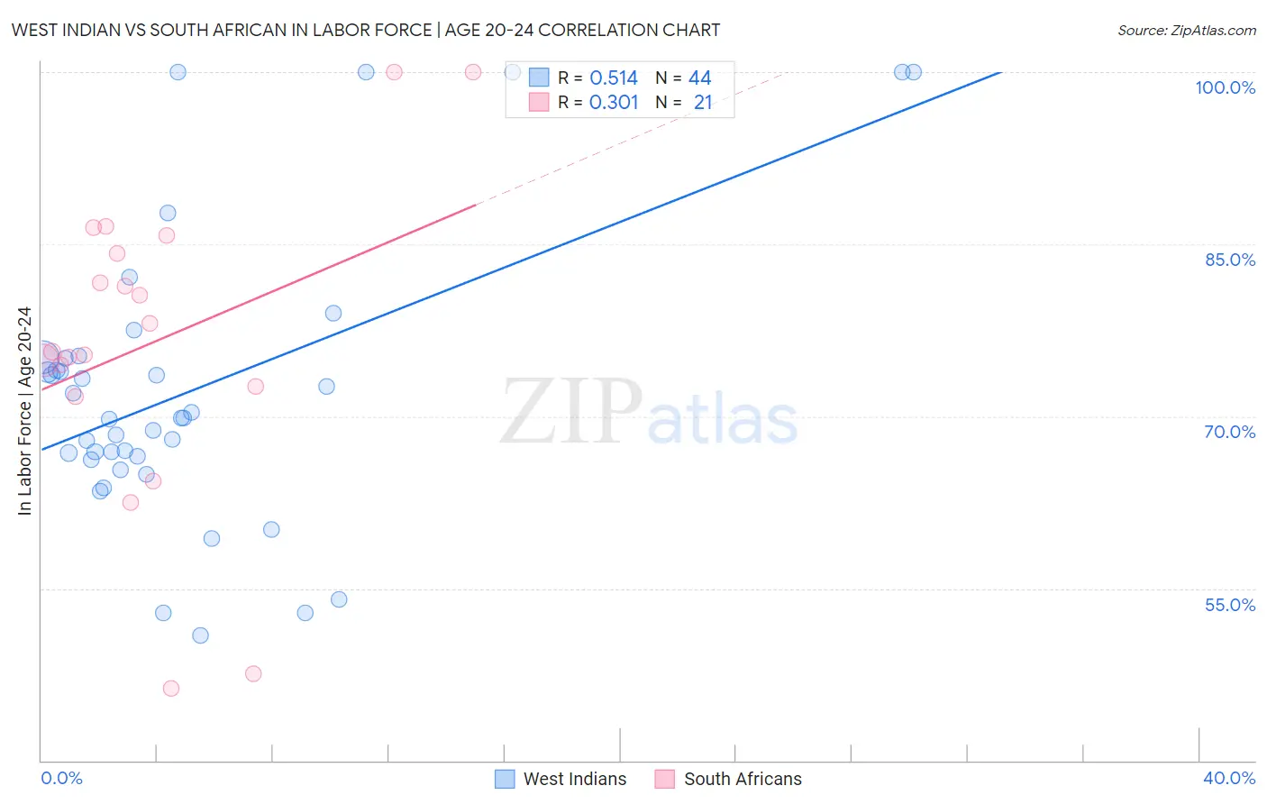 West Indian vs South African In Labor Force | Age 20-24