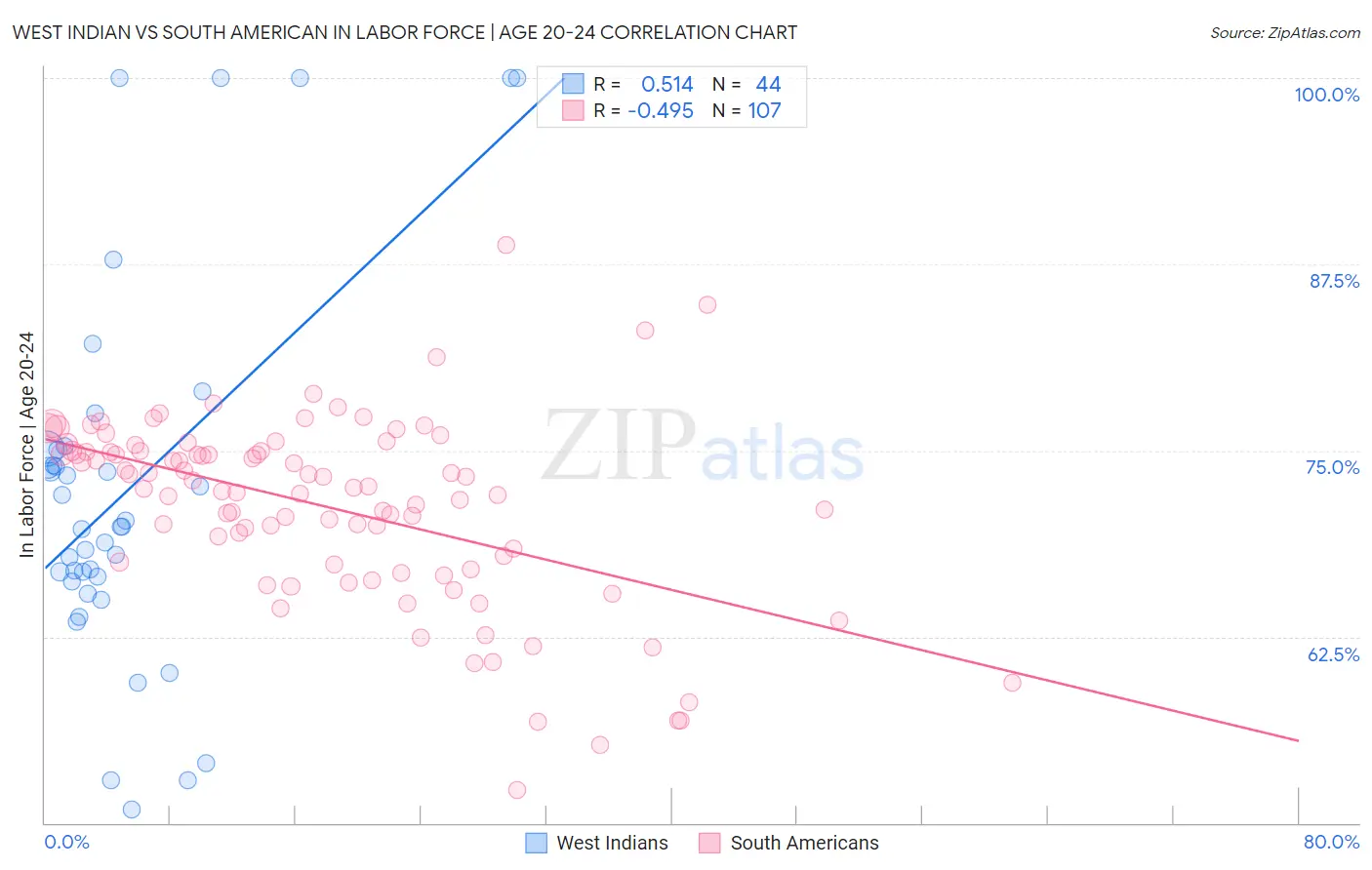 West Indian vs South American In Labor Force | Age 20-24