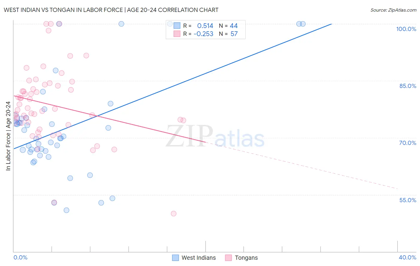 West Indian vs Tongan In Labor Force | Age 20-24