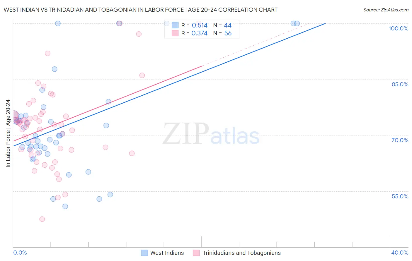 West Indian vs Trinidadian and Tobagonian In Labor Force | Age 20-24