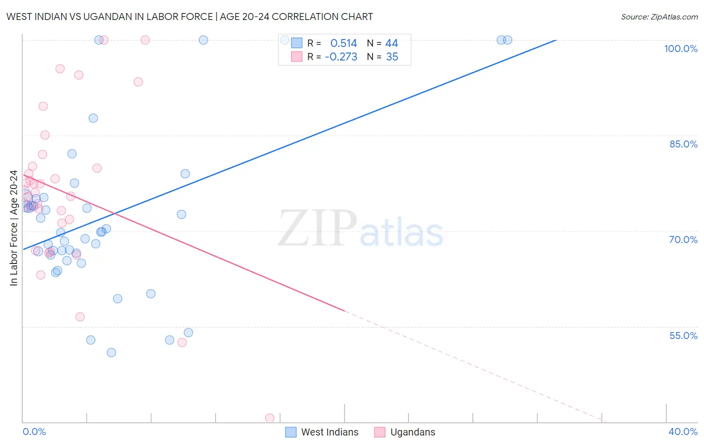 West Indian vs Ugandan In Labor Force | Age 20-24